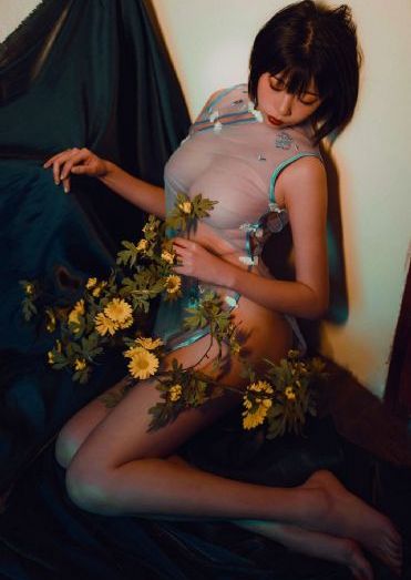 蜡笔小新:好别致的影分身 动画片_DVD免费观看韩国